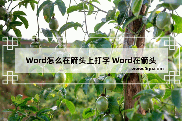 Word怎么在箭头上打字 Word在箭头上打字的方法