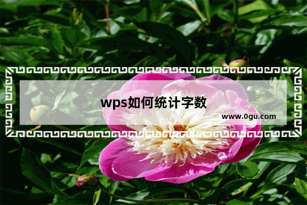 wps如何统计字数