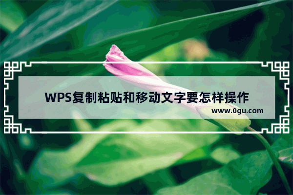 WPS复制粘贴和移动文字要怎样操作