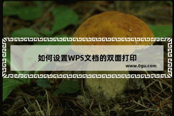 如何设置WPS文档的双面打印