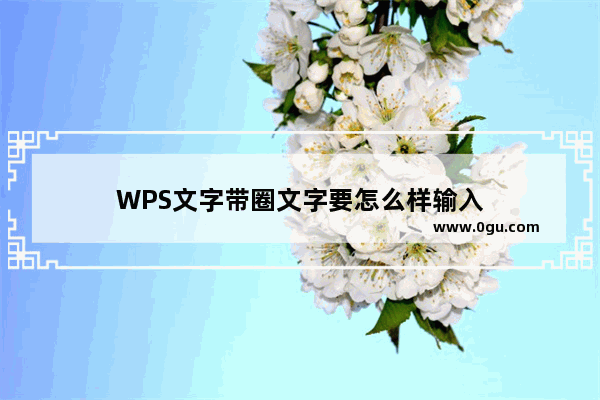 WPS文字带圈文字要怎么样输入