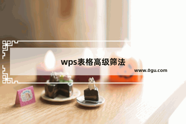 wps表格高级筛法