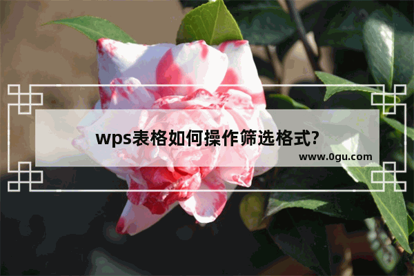 wps表格如何操作筛选格式?