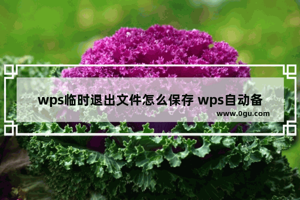 wps临时退出文件怎么保存 wps自动备份设置教程