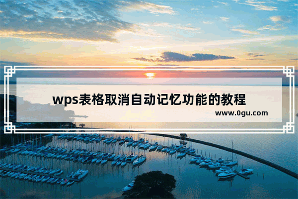 wps表格取消自动记忆功能的教程