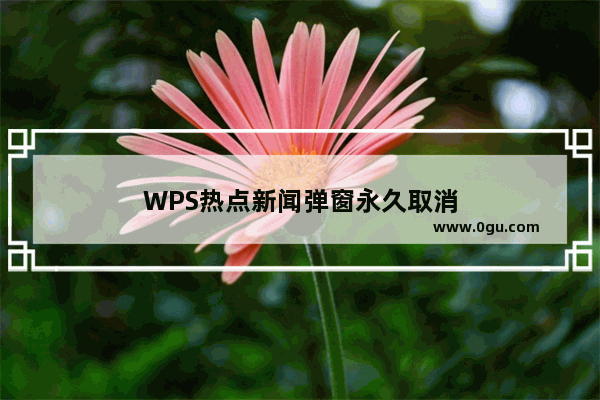 WPS热点新闻弹窗永久取消