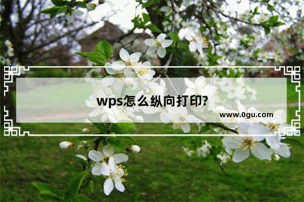 wps怎么纵向打印?