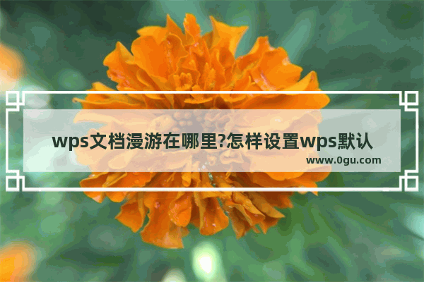 wps文档漫游在哪里?怎样设置wps默认启动空白文档或文档漫游?