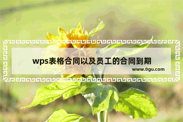 wps表格合同以及员工的合同到期