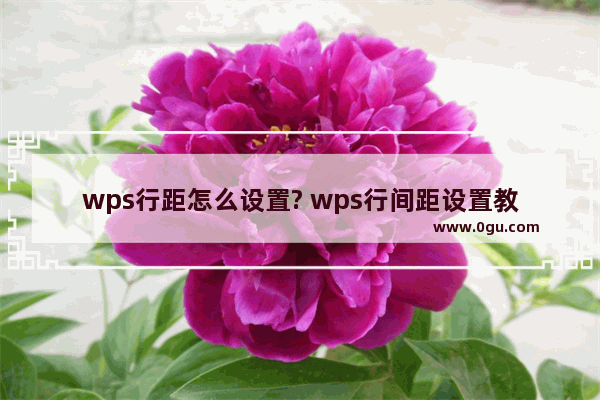 wps行距怎么设置? wps行间距设置教程