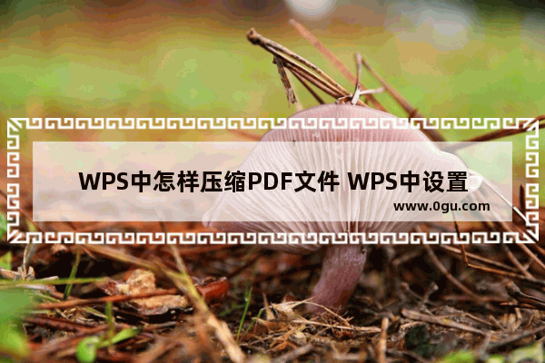 WPS中怎样压缩PDF文件 WPS中设置压缩PDF文档大小的方法