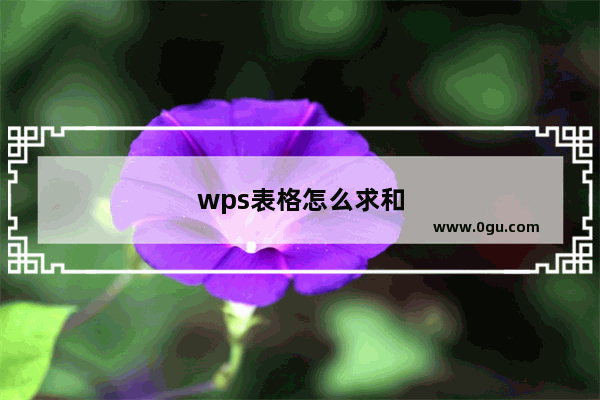 wps表格怎么求和