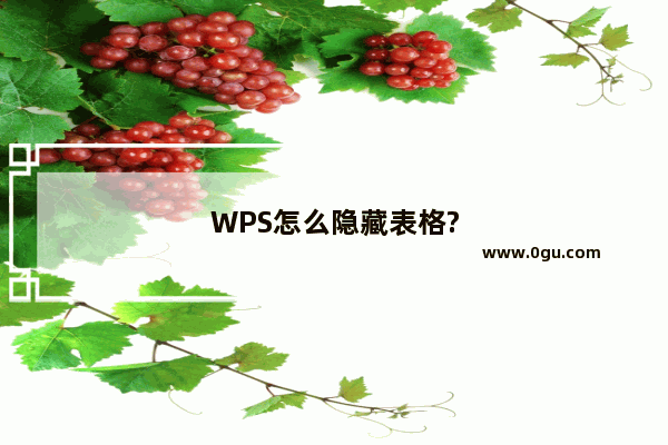 WPS怎么隐藏表格?