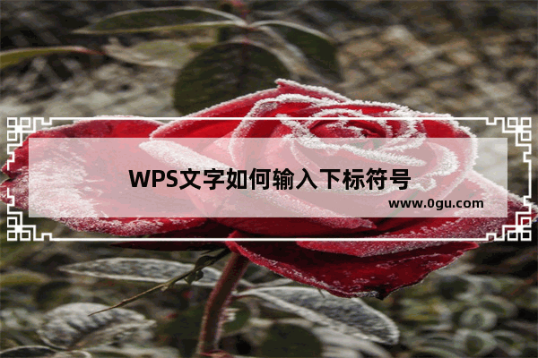 WPS文字如何输入下标符号