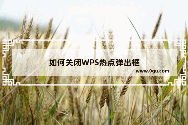 如何关闭WPS热点弹出框