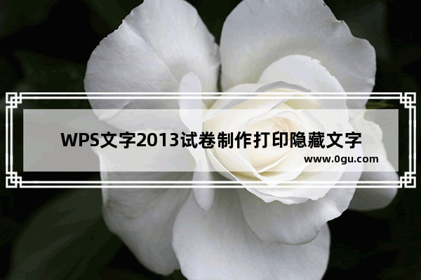 WPS文字2013试卷制作打印隐藏文字