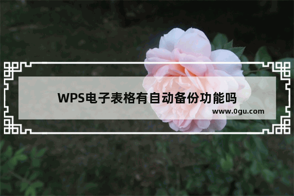 WPS电子表格有自动备份功能吗