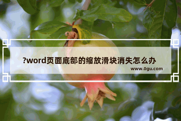 ?word页面底部的缩放滑块消失怎么办 word文档在状态栏处添加缩放滑块的方法