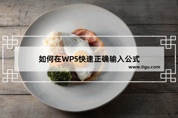 如何在WPS快速正确输入公式