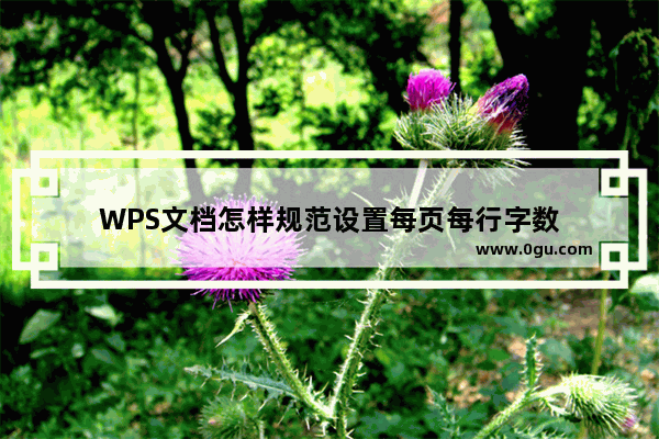 WPS文档怎样规范设置每页每行字数