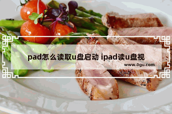 pad怎么读取u盘启动 ipad读u盘视频教程