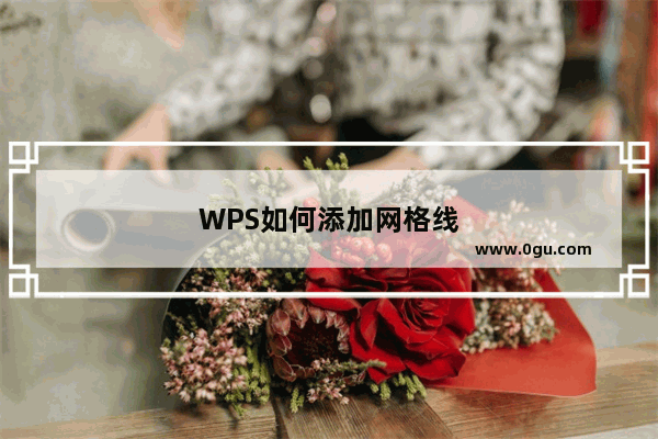 WPS如何添加网格线