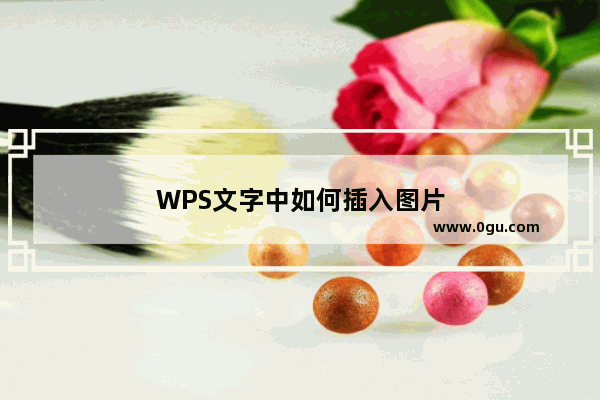 WPS文字中如何插入图片