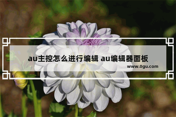 au主控怎么进行编辑 au编辑器面板