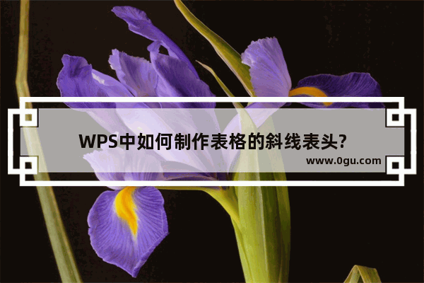 WPS中如何制作表格的斜线表头?