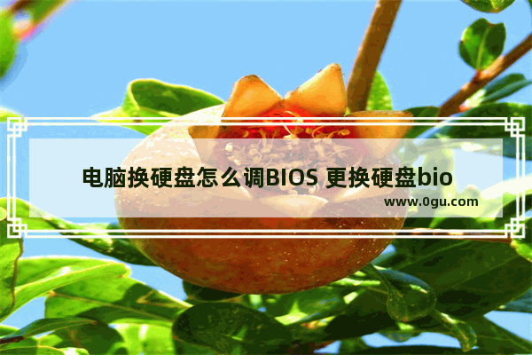 电脑换硬盘怎么调BIOS 更换硬盘bios设置