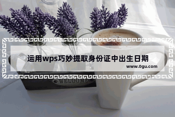 运用wps巧妙提取身份证中出生日期