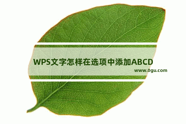 WPS文字怎样在选项中添加ABCD