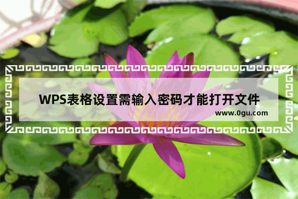 WPS表格设置需输入密码才能打开文件