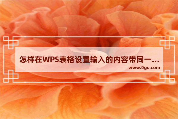 怎样在WPS表格设置输入的内容带同一个字