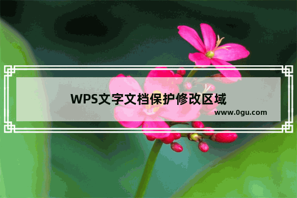 WPS文字文档保护修改区域