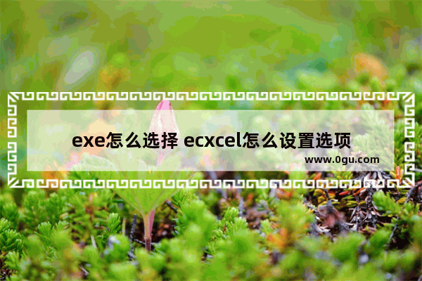 exe怎么选择 ecxcel怎么设置选项