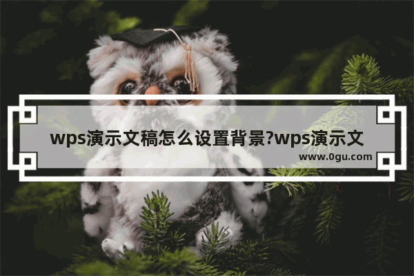 wps演示文稿怎么设置背景?wps演示文稿背景图片设置教程