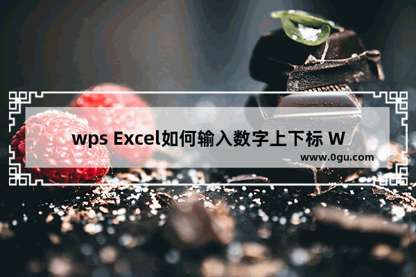 wps Excel如何输入数字上下标 WPS Excel中输入上下标公式的方法