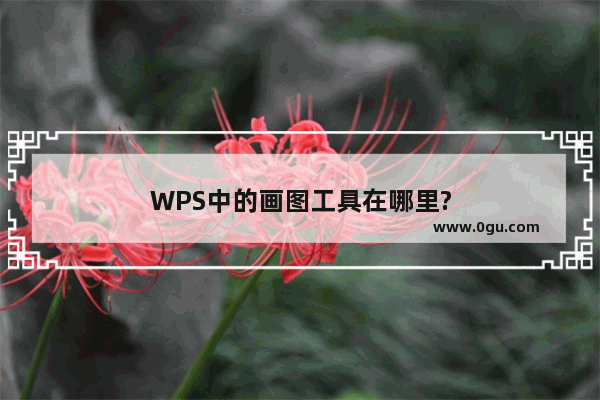 WPS中的画图工具在哪里?