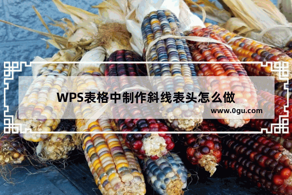 WPS表格中制作斜线表头怎么做