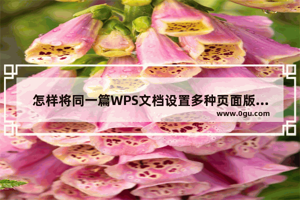 怎样将同一篇WPS文档设置多种页面版式的技巧