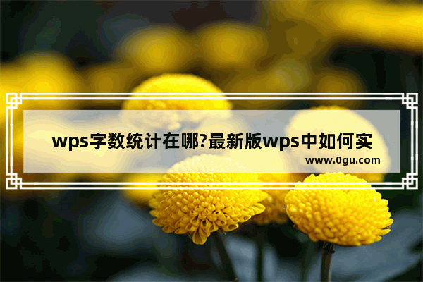 wps字数统计在哪?最新版wps中如何实现字数统计