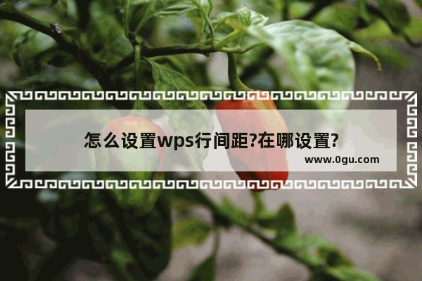 怎么设置wps行间距?在哪设置?