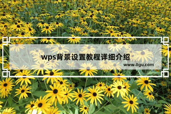 wps背景设置教程详细介绍