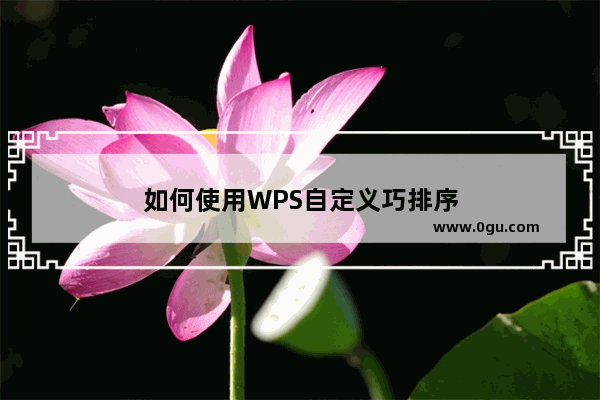 如何使用WPS自定义巧排序