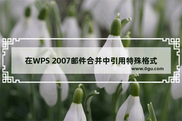 在WPS 2007邮件合并中引用特殊格式