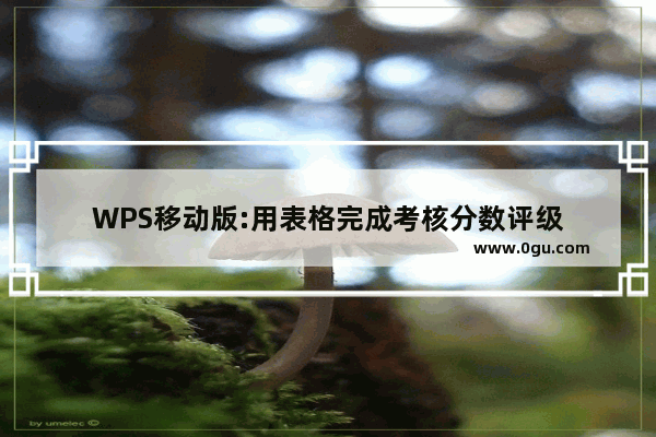 WPS移动版:用表格完成考核分数评级