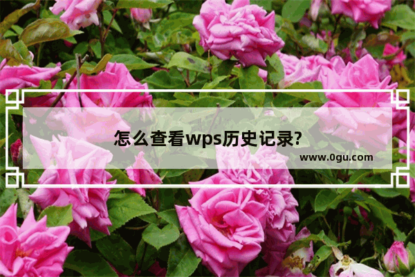 怎么查看wps历史记录?