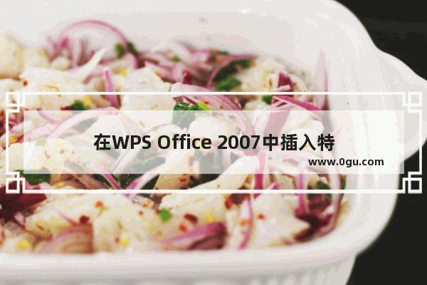 在WPS Office 2007中插入特色页码