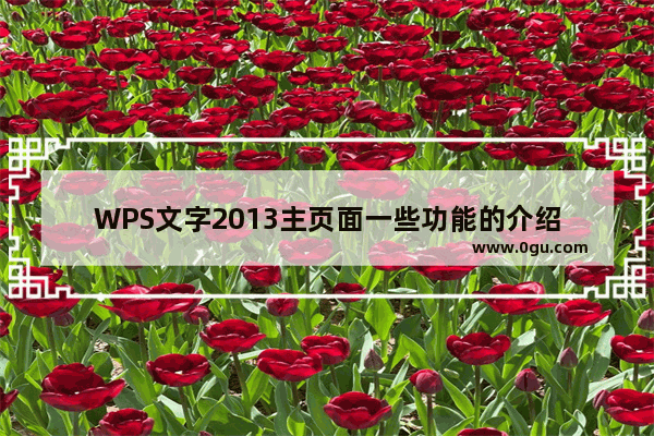 WPS文字2013主页面一些功能的介绍